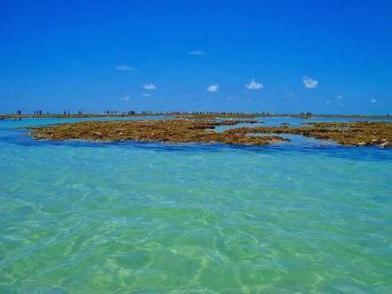 Palm Village - O Melhor De Cupe E Porto Pôrto das Galinhas Exteriér fotografie